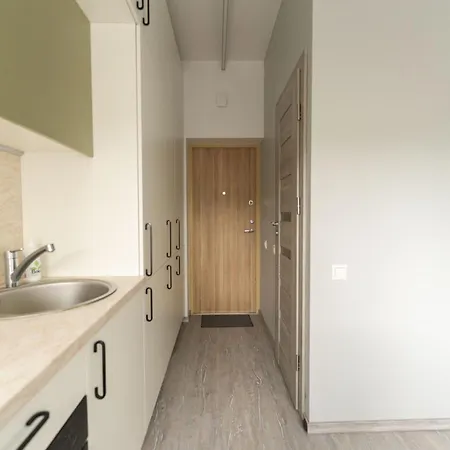 Cozy And Modern Loft Next To The Old Town