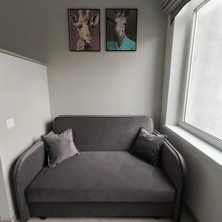 Cozy And Modern Loft Next To The Old Town *