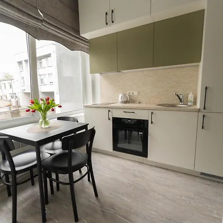 Cozy And Modern Loft Next To The Old Town Vilnius