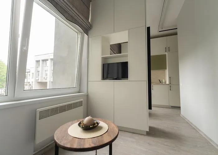 アパート Cozy And Modern Loft Next To The Old Town ヴィリニュス