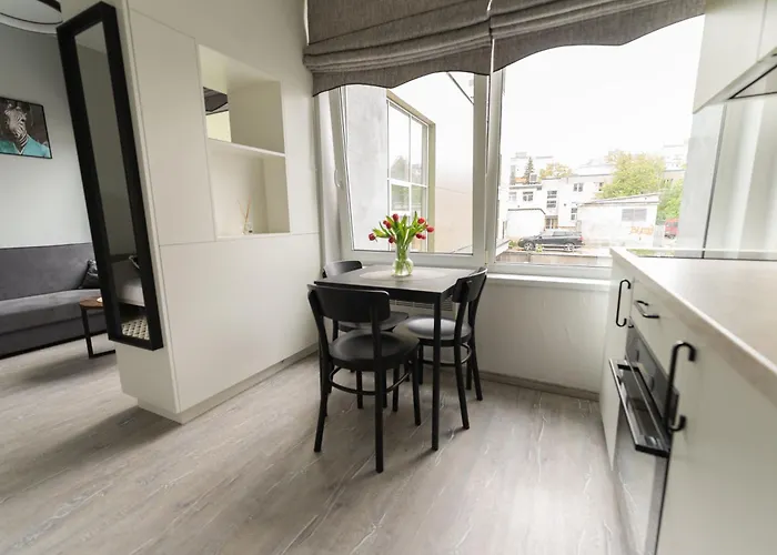 Cozy And Modern Loft Next To The Old Town ヴィリニュス