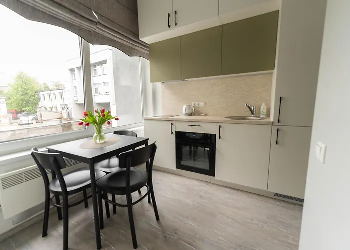 Cozy And Modern Loft Next To The Old Town Вільнюс