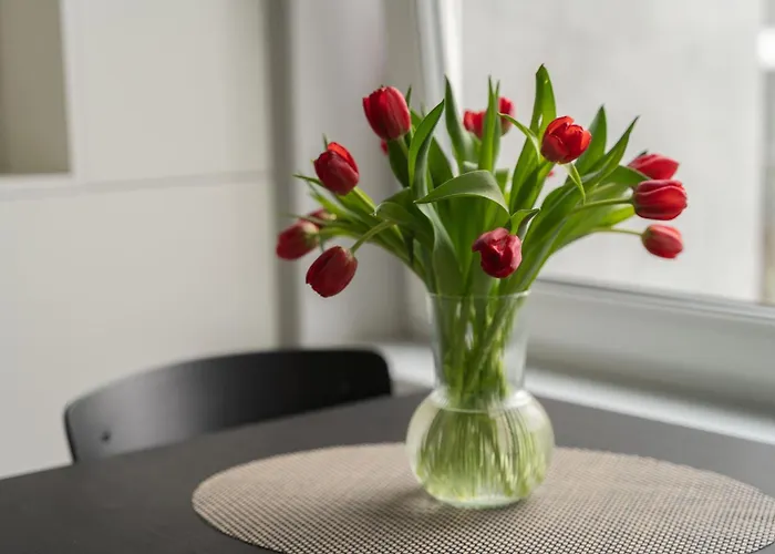 Cozy And Modern Loft Next To The Old Town Вільнюс