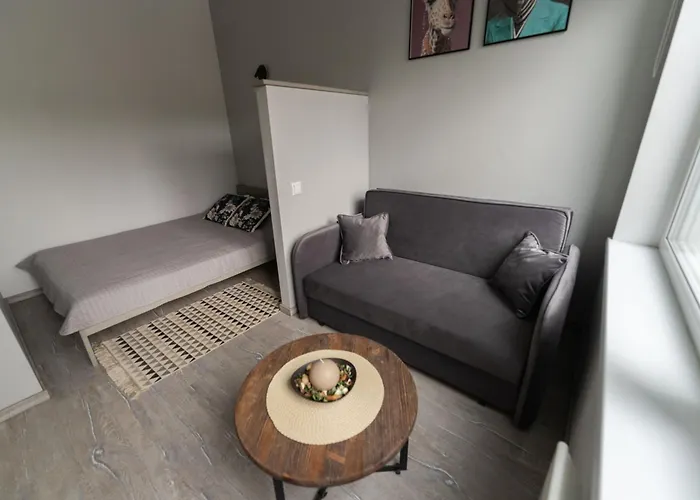 Cozy And Modern Loft Next To The Old Town Вільнюс