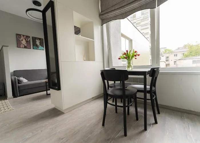 Cozy And Modern Loft Next To The Old Town ヴィリニュス