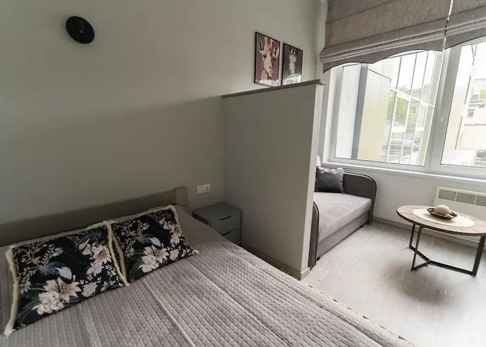 Cozy And Modern Loft Next To The Old Town Apartment Wilna